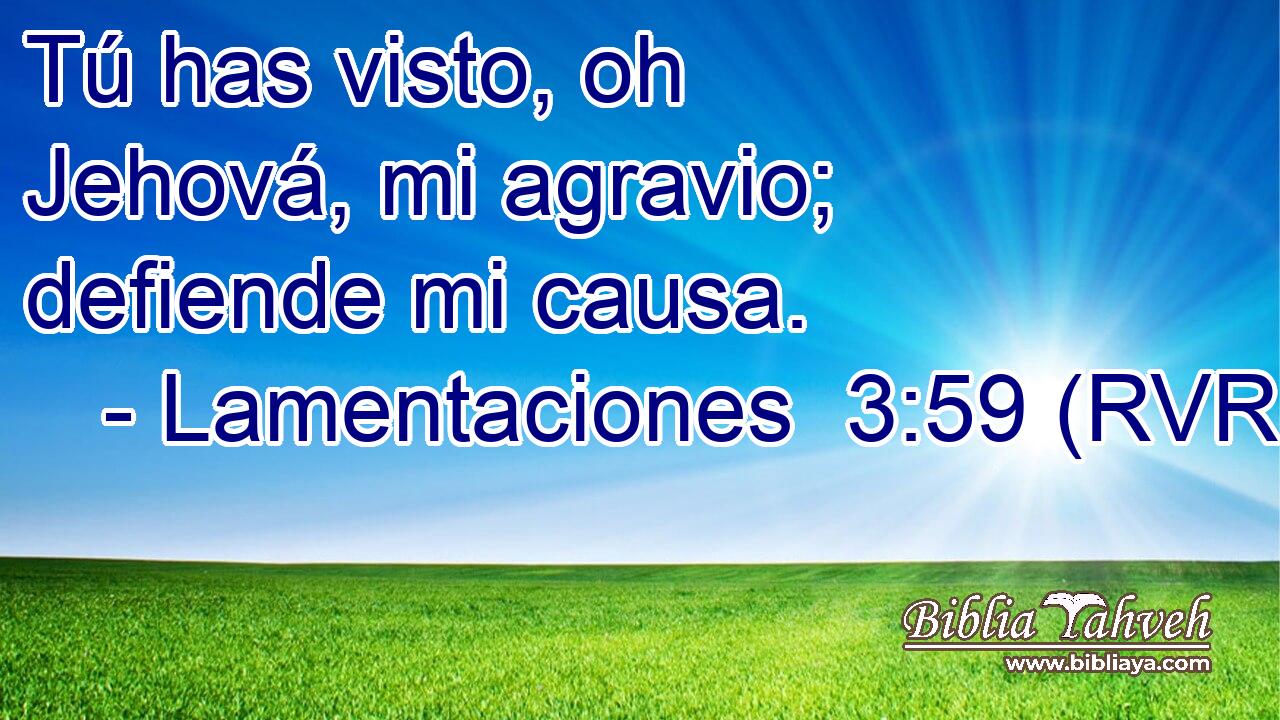 Tú has visto, oh Jehová, mi agravio; defiende mi causa.