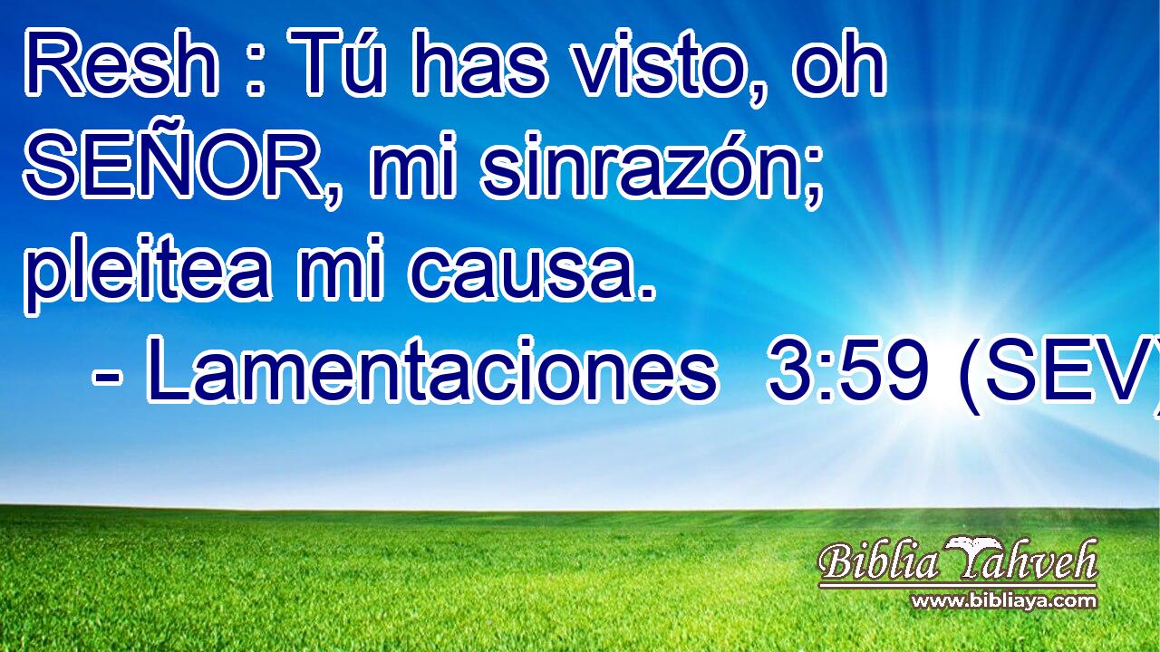 Resh : Tú has visto, oh SEÑOR, mi sinrazón; pleitea mi causa.