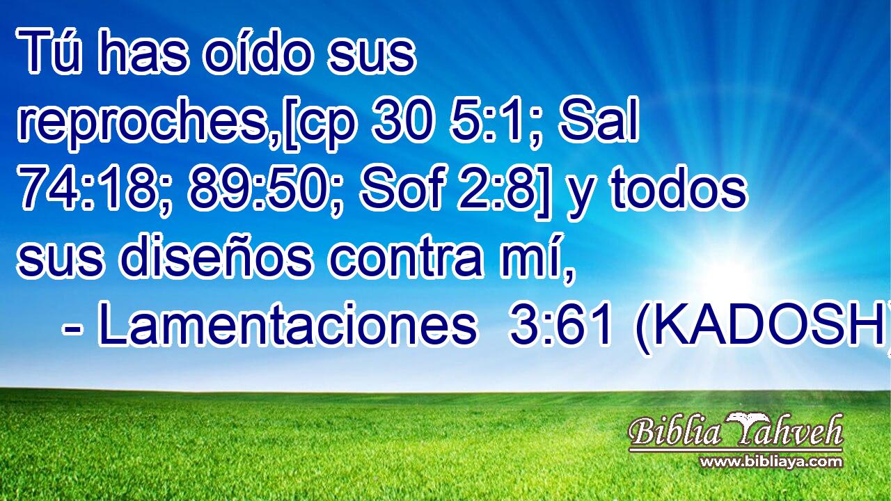  Tú has oído sus reproches,[cp 30 5:1; Sal 74:18; 89:50; Sof 2:8] y todos sus diseños contra mí, 