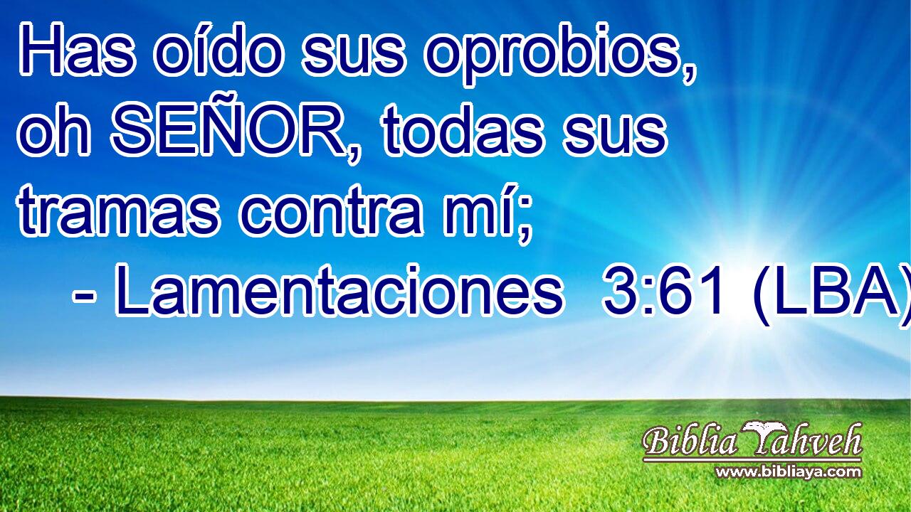 Has oído sus oprobios, oh SEÑOR, todas sus tramas contra mí;