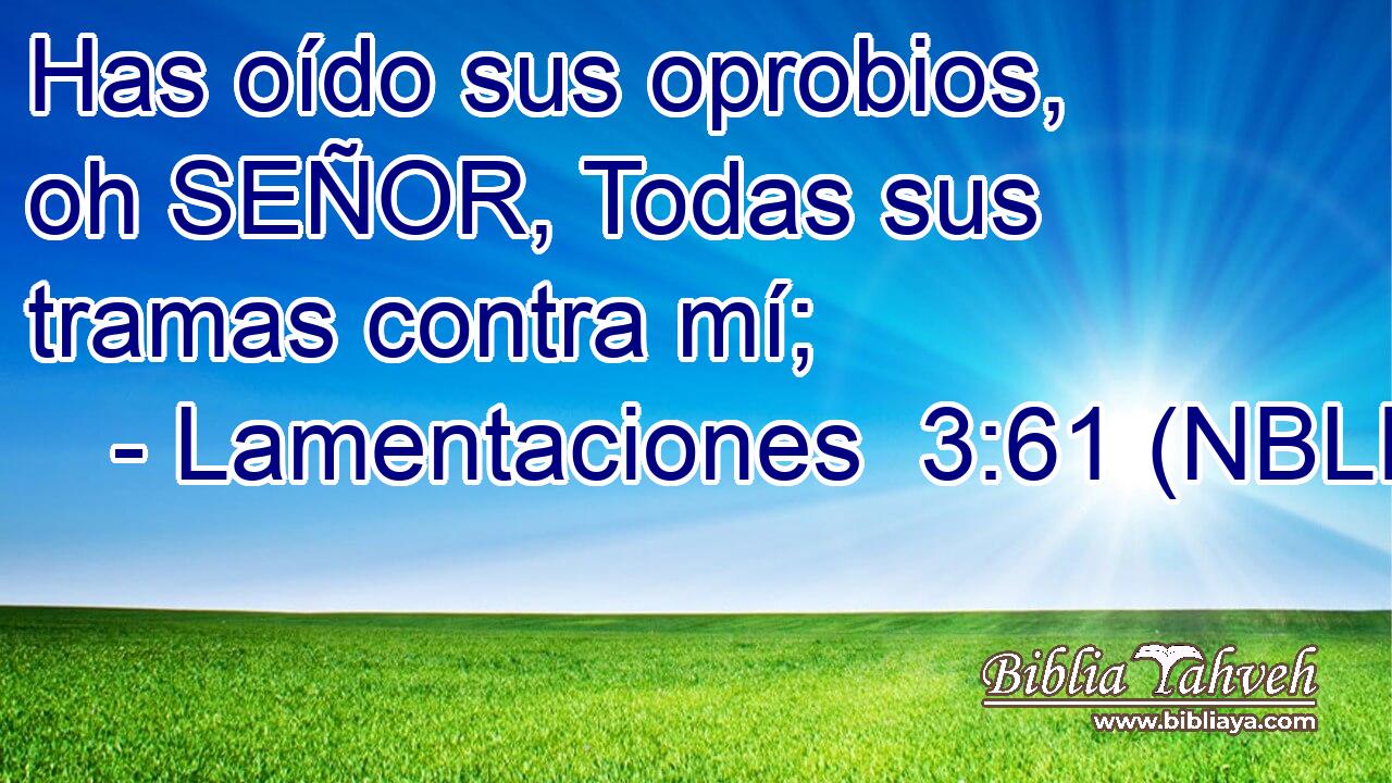  Has oído sus oprobios, oh SEÑOR, Todas sus tramas contra mí; 