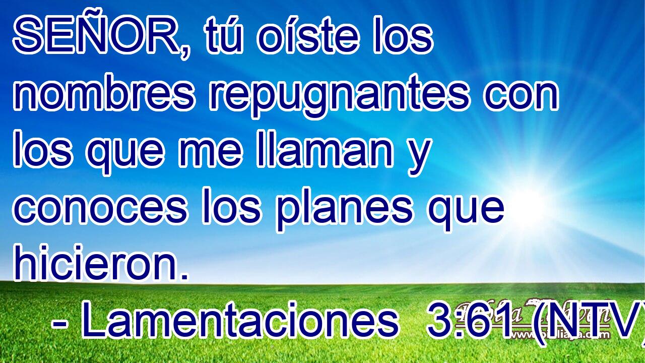 SEÑOR, tú oíste los nombres repugnantes con los que me llaman y conoces los planes que hicieron.
