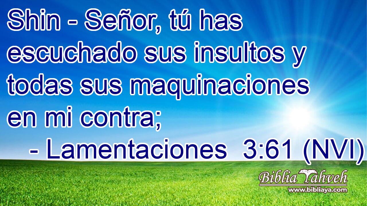  Shin - Señor, tú has escuchado sus insultos y todas sus maquinaciones en mi contra; 