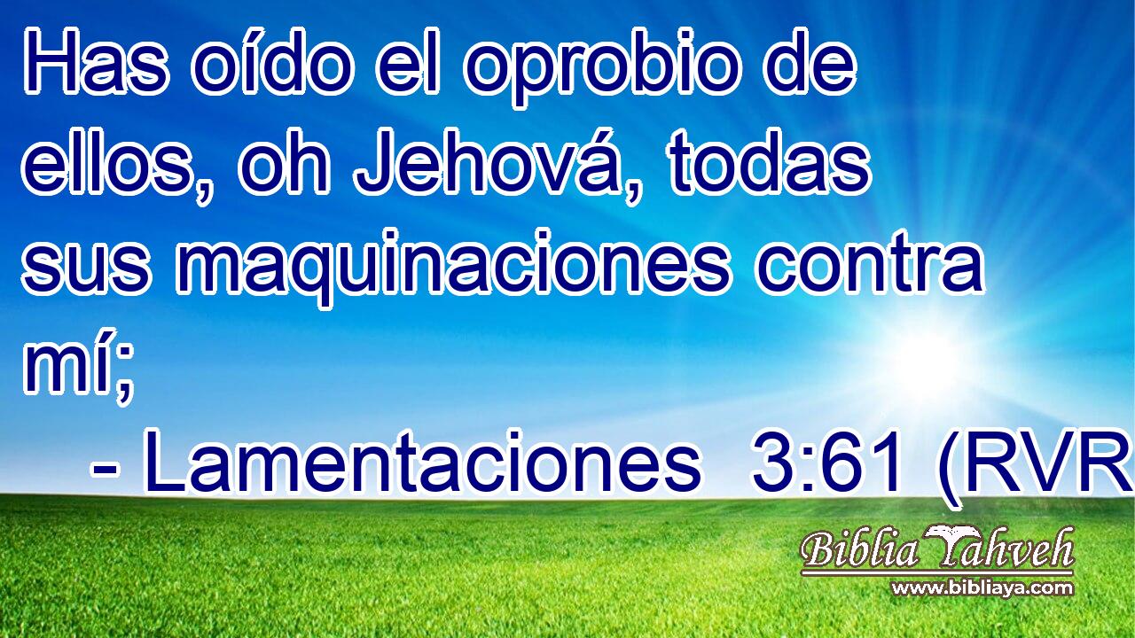 Has oído el oprobio de ellos, oh Jehová, todas sus maquinaciones contra mí;