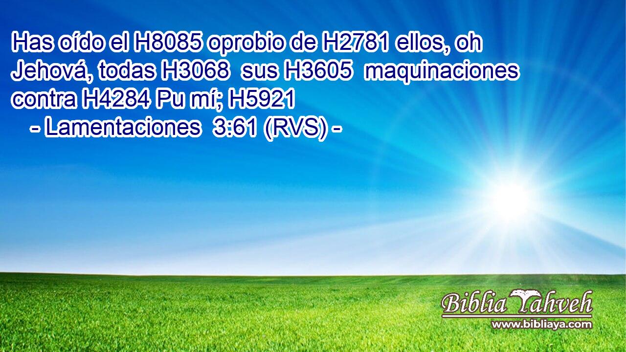 Has oído el H8085 oprobio de H2781 ellos, oh Jehová, todas H3068  sus H3605  maquinaciones contra H4284 Pu mí; H5921  