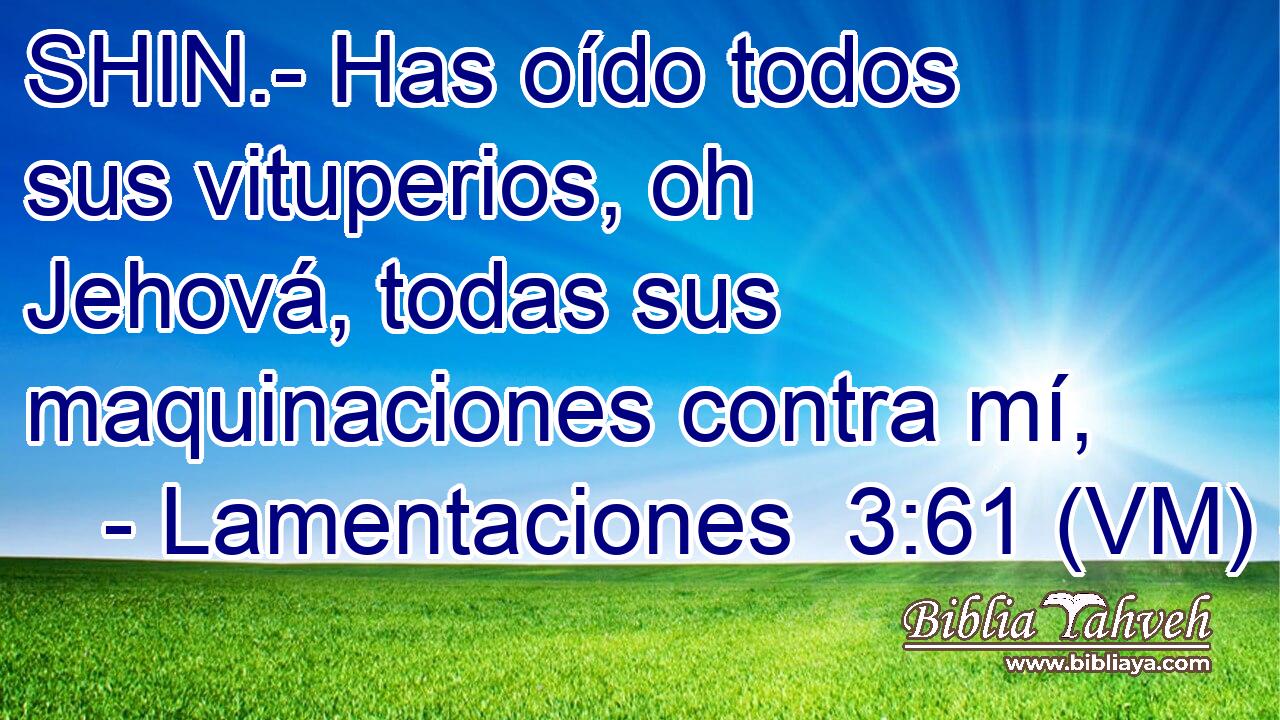  SHIN.- Has oído todos sus vituperios, oh Jehová, todas sus maquinaciones contra mí, 