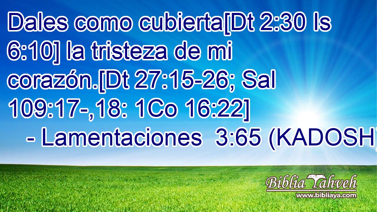  Dales como cubierta[Dt 2:30 Is 6:10] la tristeza de mi corazón.[Dt 27:15-26; Sal 109:17-,18: 1Co 16:22] 