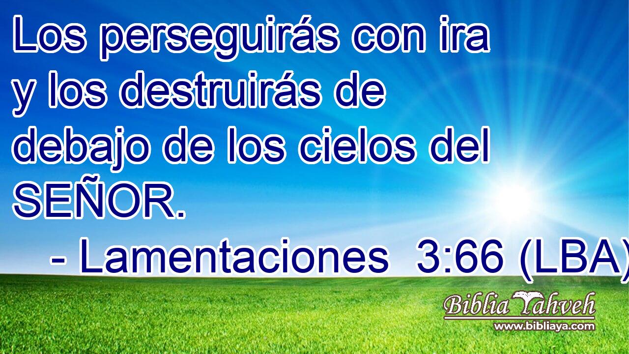 Los perseguirás con ira y los destruirás de debajo de los cielos del SEÑOR.