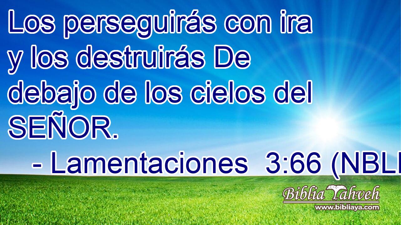  Los perseguirás con ira y los destruirás De debajo de los cielos del SEÑOR. 