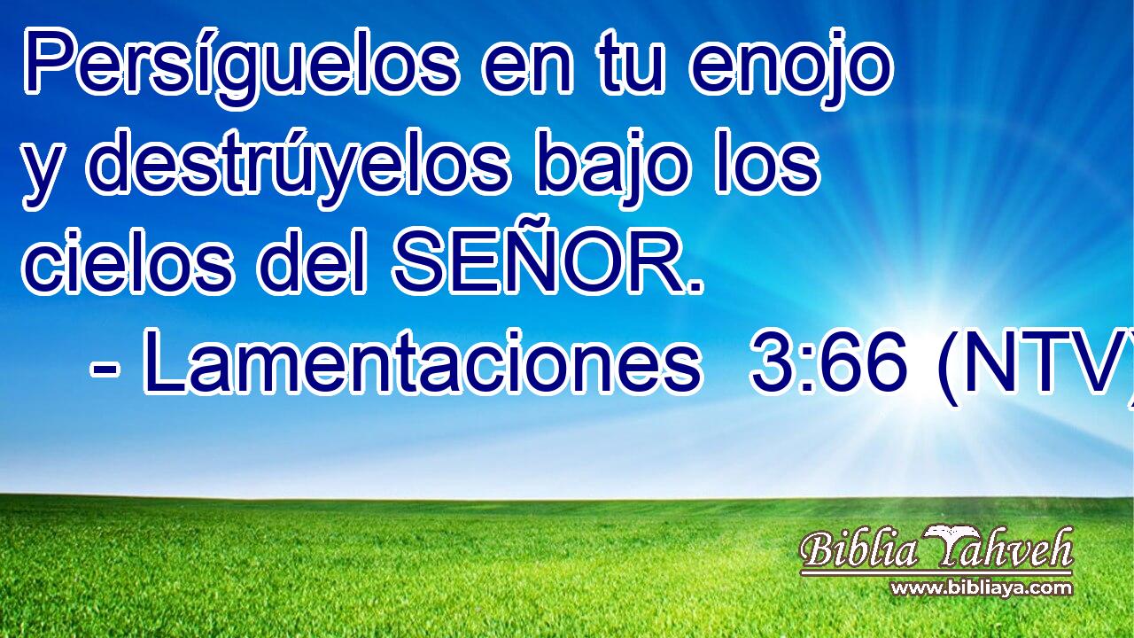 Persíguelos en tu enojo y destrúyelos bajo los cielos del SEÑOR.