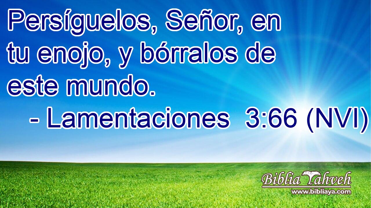  Persíguelos, Señor, en tu enojo, y bórralos de este mundo. 