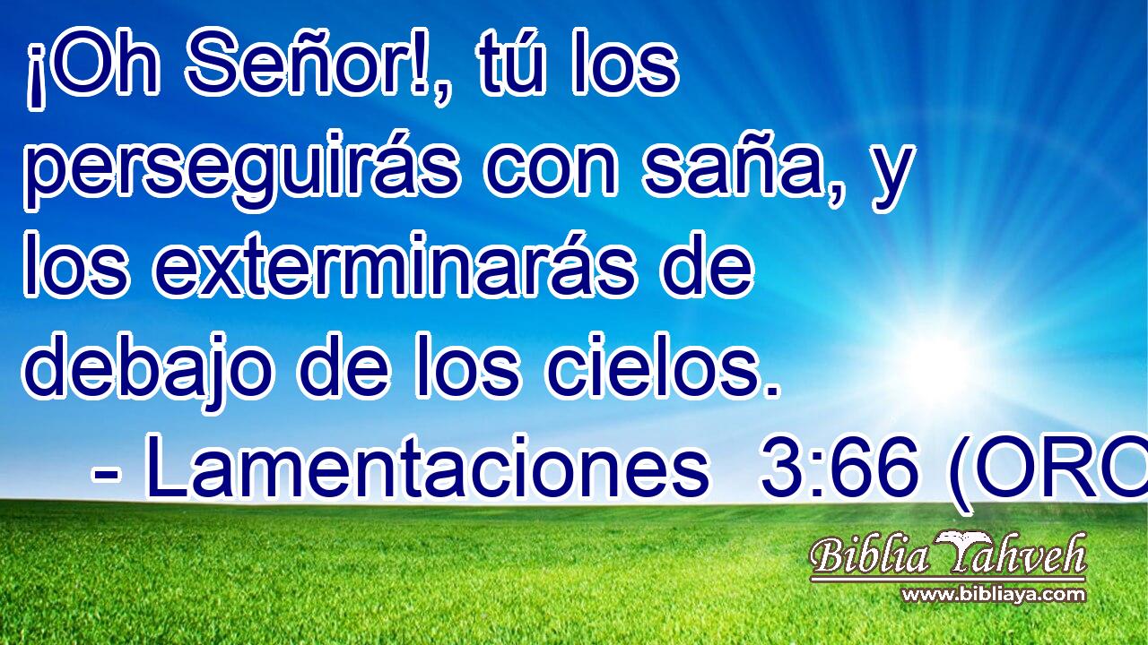  ¡Oh Señor!, tú los perseguirás con saña, y los exterminarás de debajo de los cielos. 
