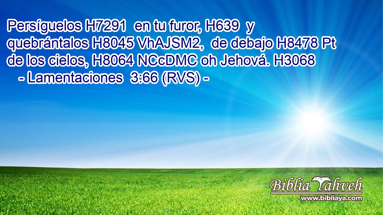 Persíguelos H7291  en tu furor, H639  y quebrántalos H8045 VhAJSM2,  de debajo H8478 Pt de los cielos, H8064 NCcDMC oh Jehová. H3068  