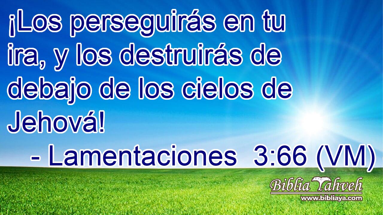  ¡Los perseguirás en tu ira, y los destruirás de debajo de los cielos de Jehová! 