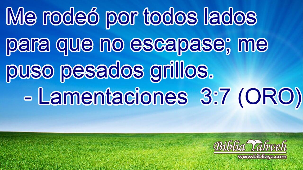  Me rodeó por todos lados para que no escapase; me puso pesados grillos. 
