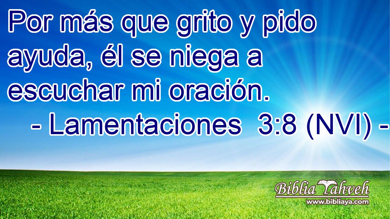  Por más que grito y pido ayuda, él se niega a escuchar mi oración. 