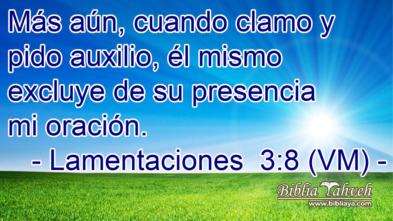  Más aún, cuando clamo y pido auxilio, él mismo excluye de su presencia mi oración. 