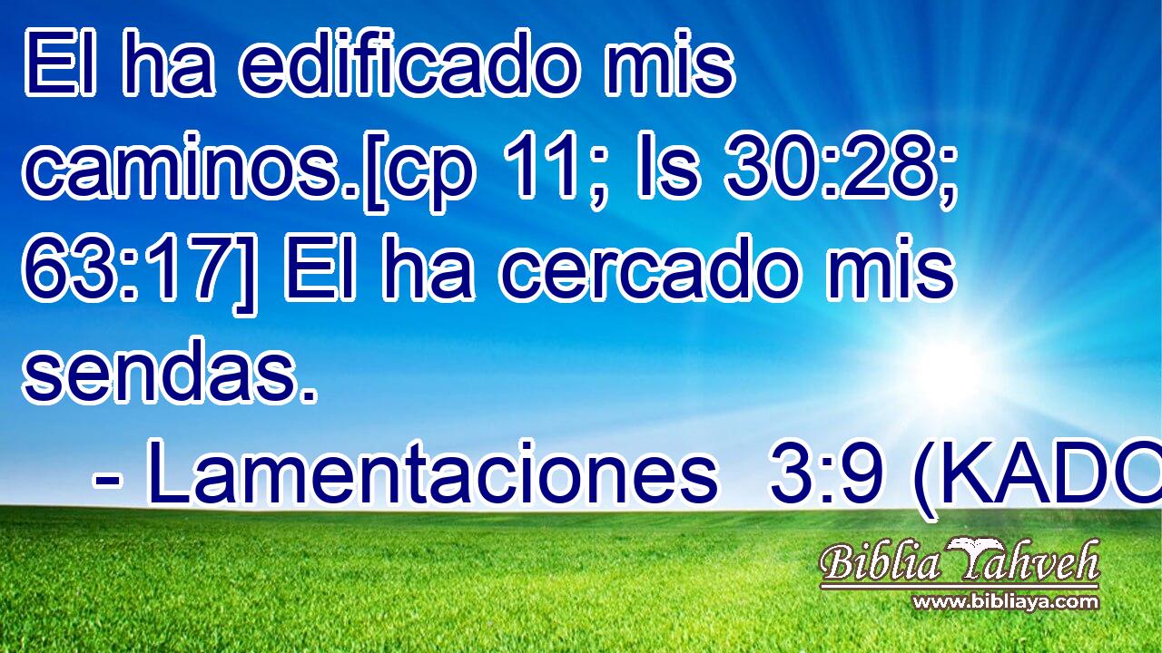  El ha edificado mis caminos.[cp 11; Is 30:28; 63:17] El ha cercado mis sendas. 