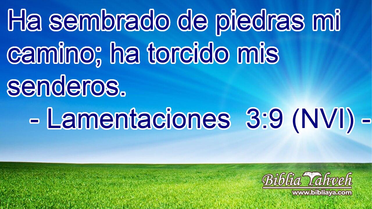  Ha sembrado de piedras mi camino; ha torcido mis senderos. 