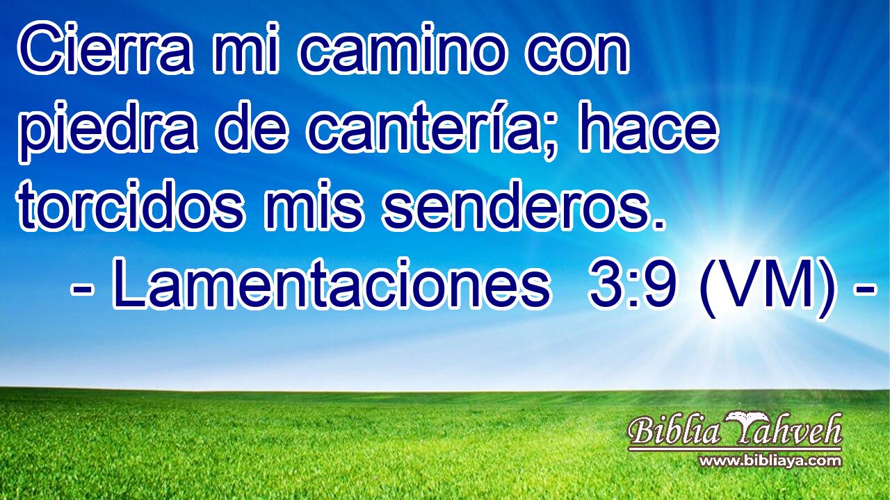  Cierra mi camino con piedra de cantería; hace torcidos mis senderos. 