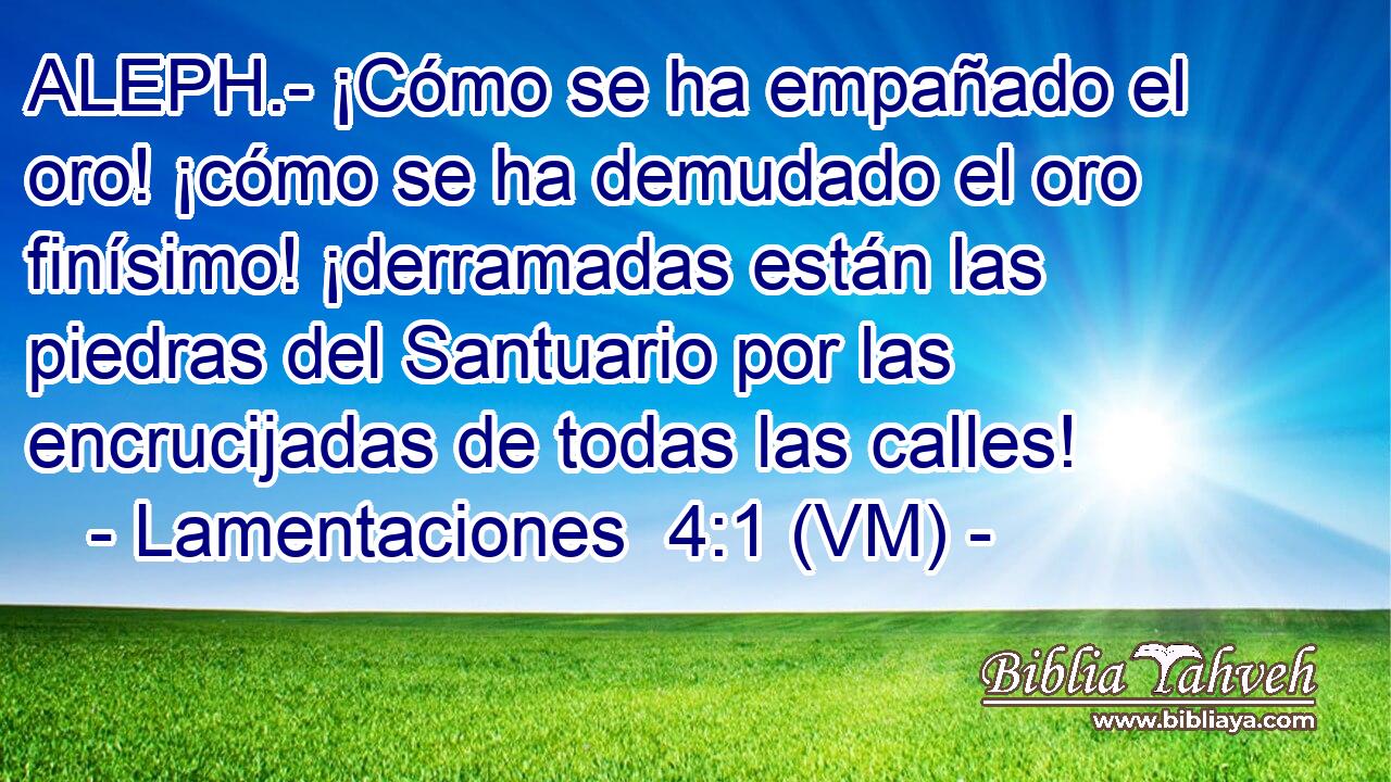  ALEPH.- ¡Cómo se ha empañado el oro! ¡cómo se ha demudado el oro finísimo! ¡derramadas están las piedras del Santuario por las encrucijadas de todas las calles! 