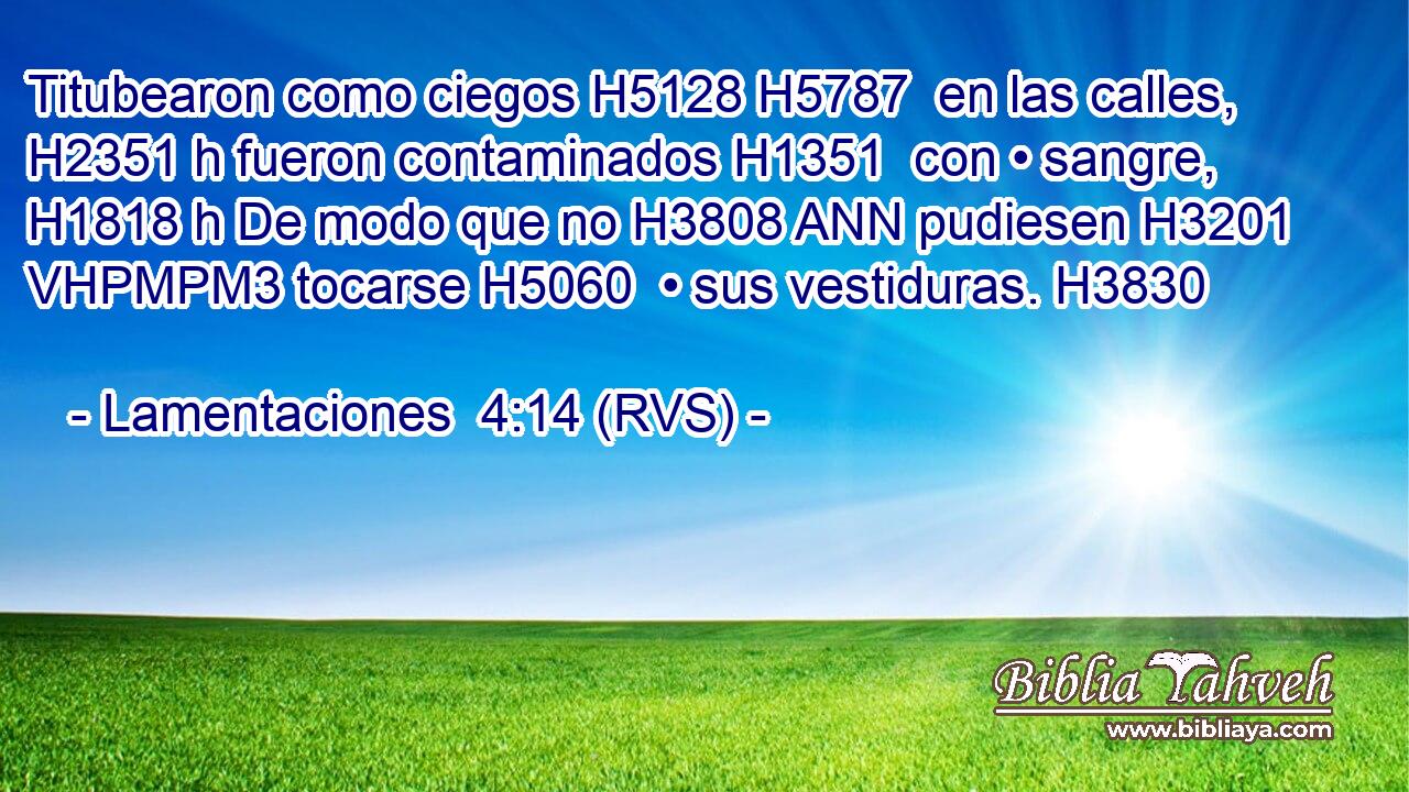 Titubearon como ciegos H5128 H5787  en las calles, H2351 h fueron contaminados H1351  con • sangre, H1818 h De modo que no H3808 ANN pudiesen H3201 VHPMPM3 tocarse H5060  • sus vestiduras. H3830  