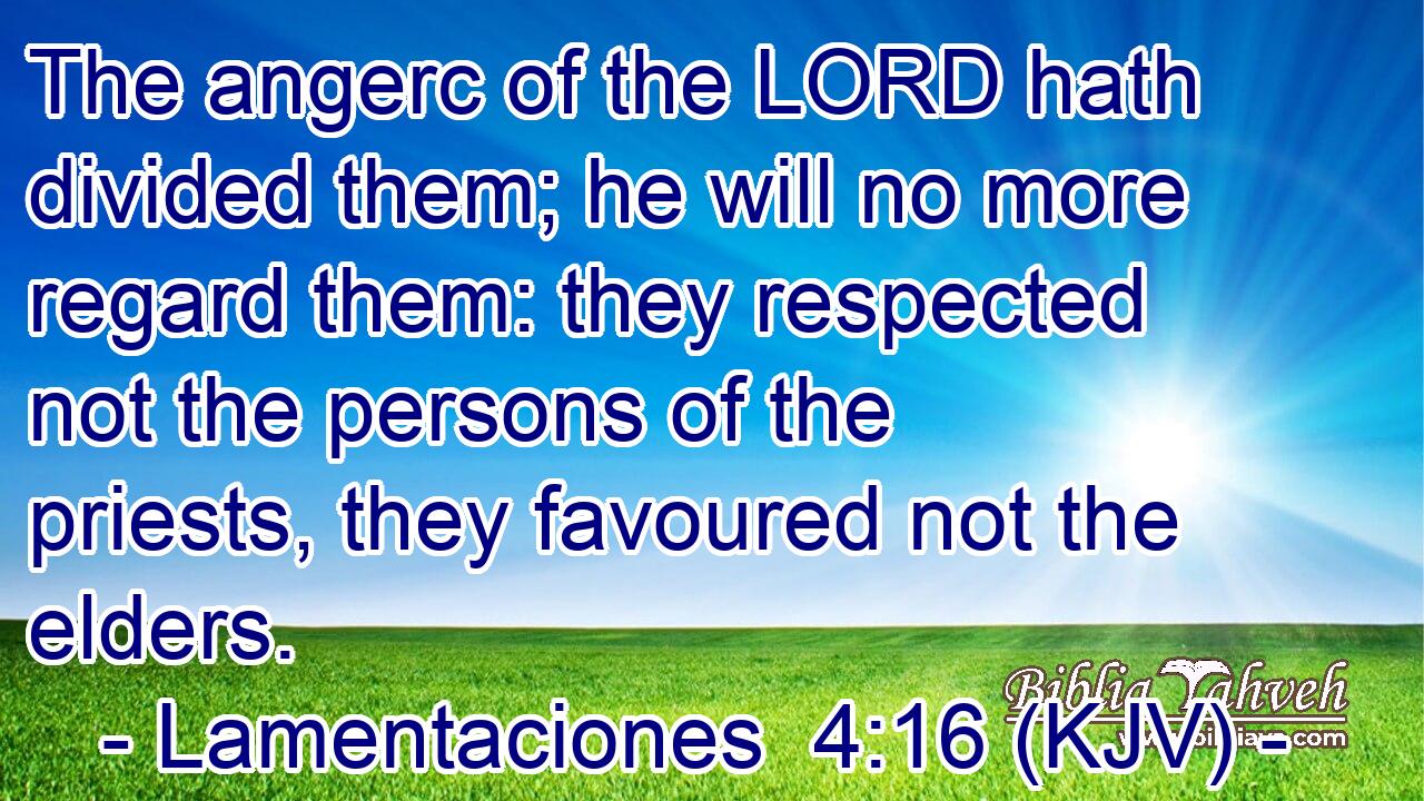 The angerc of the LORD hath divided them; he will no more regard them: they respected not the persons of the priests, they favoured not the elders.
