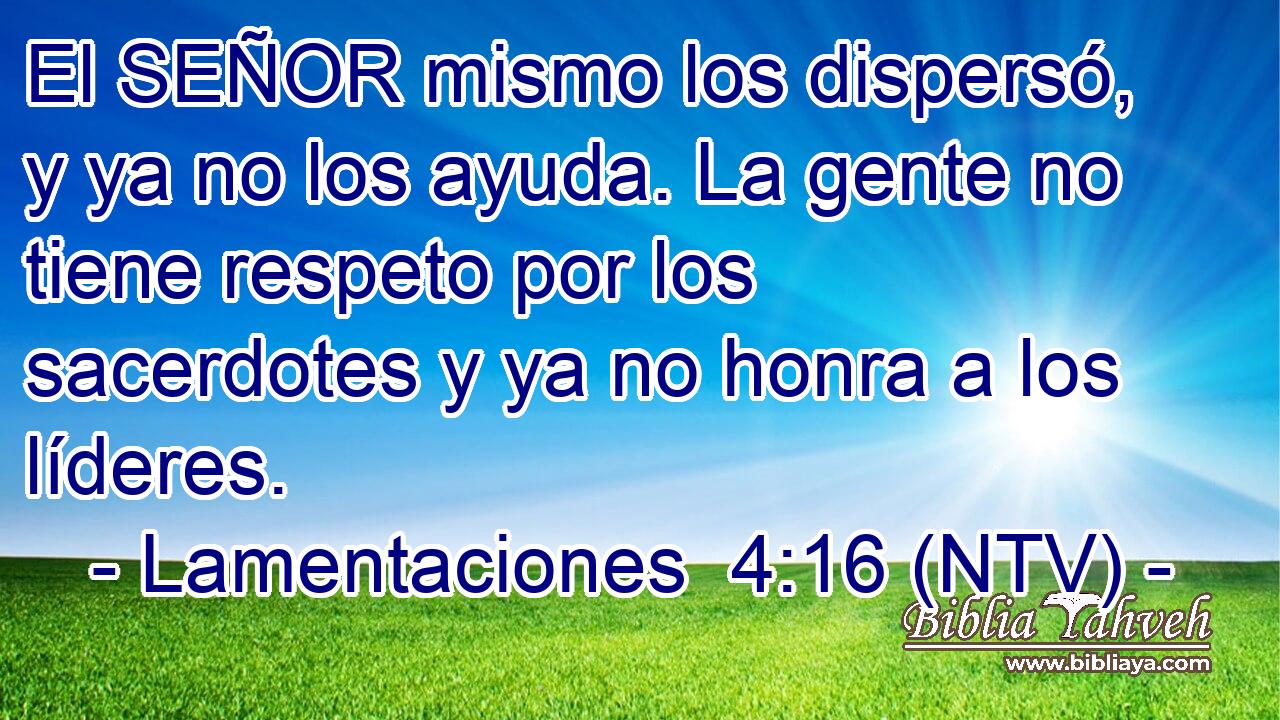 El SEÑOR mismo los dispersó, y ya no los ayuda. La gente no tiene respeto por los sacerdotes y ya no honra a los líderes.