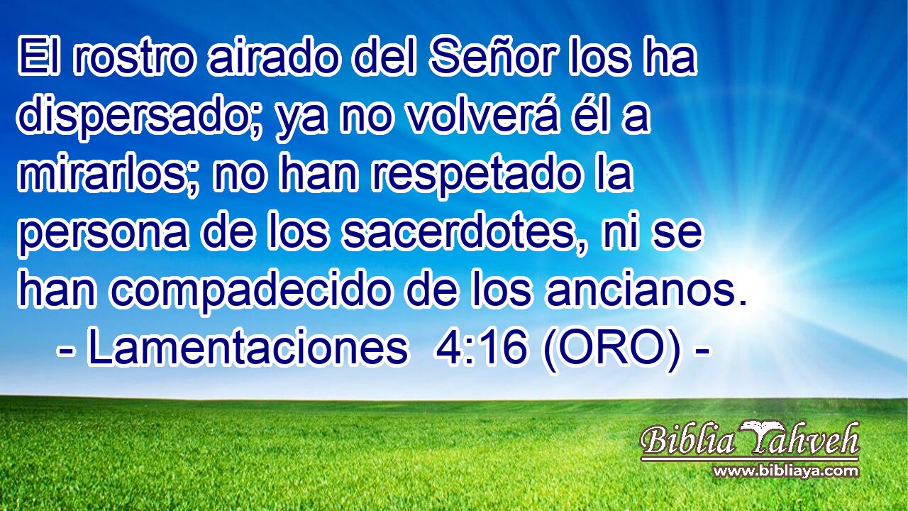  El rostro airado del Señor los ha dispersado; ya no volverá él a mirarlos; no han respetado la persona de los sacerdotes, ni se han compadecido de los ancianos. 