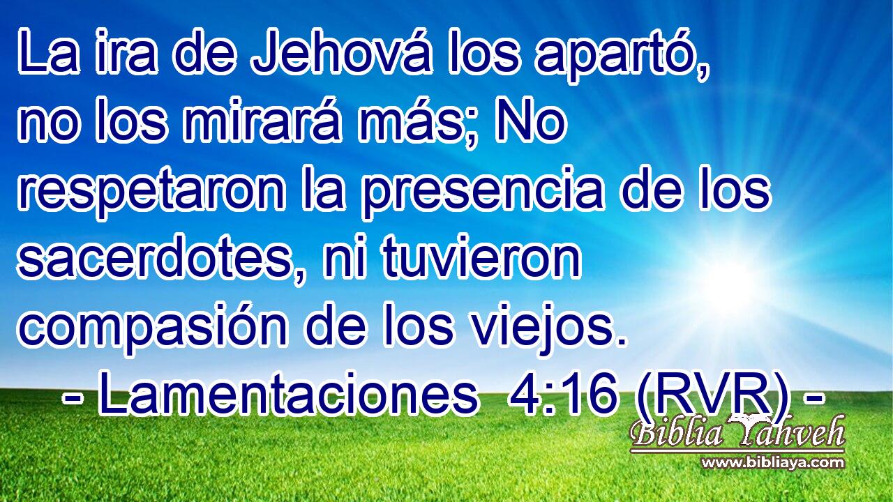 La ira de Jehová los apartó, no los mirará más; No respetaron la presencia de los sacerdotes, ni tuvieron compasión de los viejos.