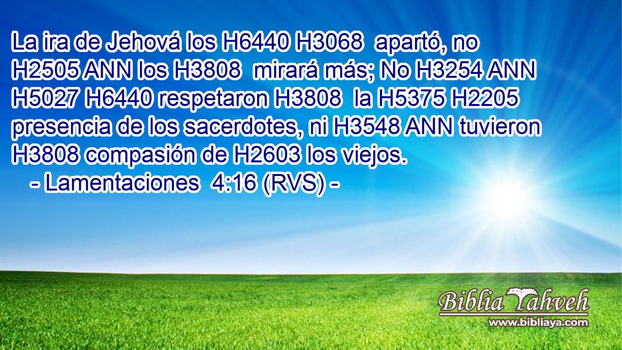 La ira de Jehová los H6440 H3068  apartó, no H2505 ANN los H3808  mirará más; No H3254 ANN H5027 H6440 respetaron H3808  la H5375 H2205 presencia de los sacerdotes, ni H3548 ANN tuvieron H3808 compasión de H2603 los viejos. 