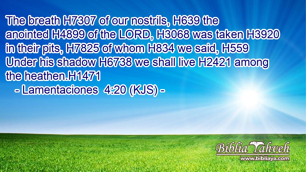The breath H7307 of our nostrils, H639 the anointed H4899 of the LORD, H3068 was taken H3920 in their pits, H7825 of whom H834 we said, H559 Under his shadow H6738 we shall live H2421 among the heathen.H1471