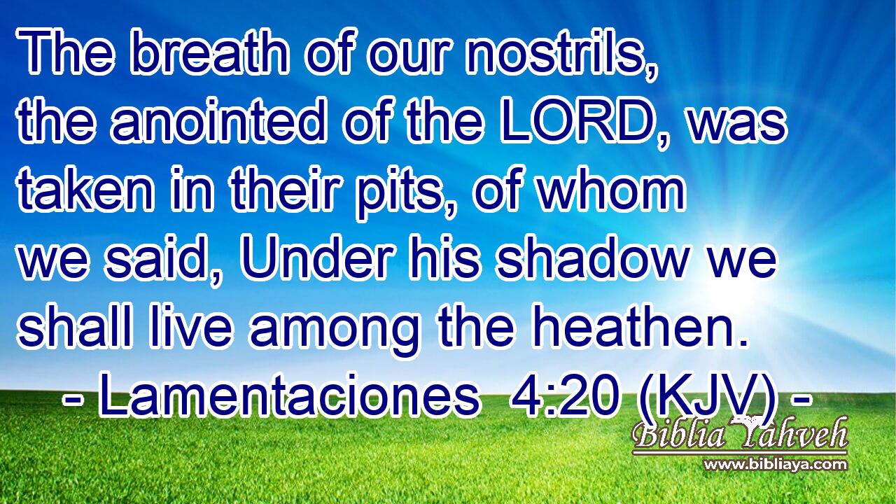 The breath of our nostrils, the anointed of the LORD, was taken in their pits, of whom we said, Under his shadow we shall live among the heathen.