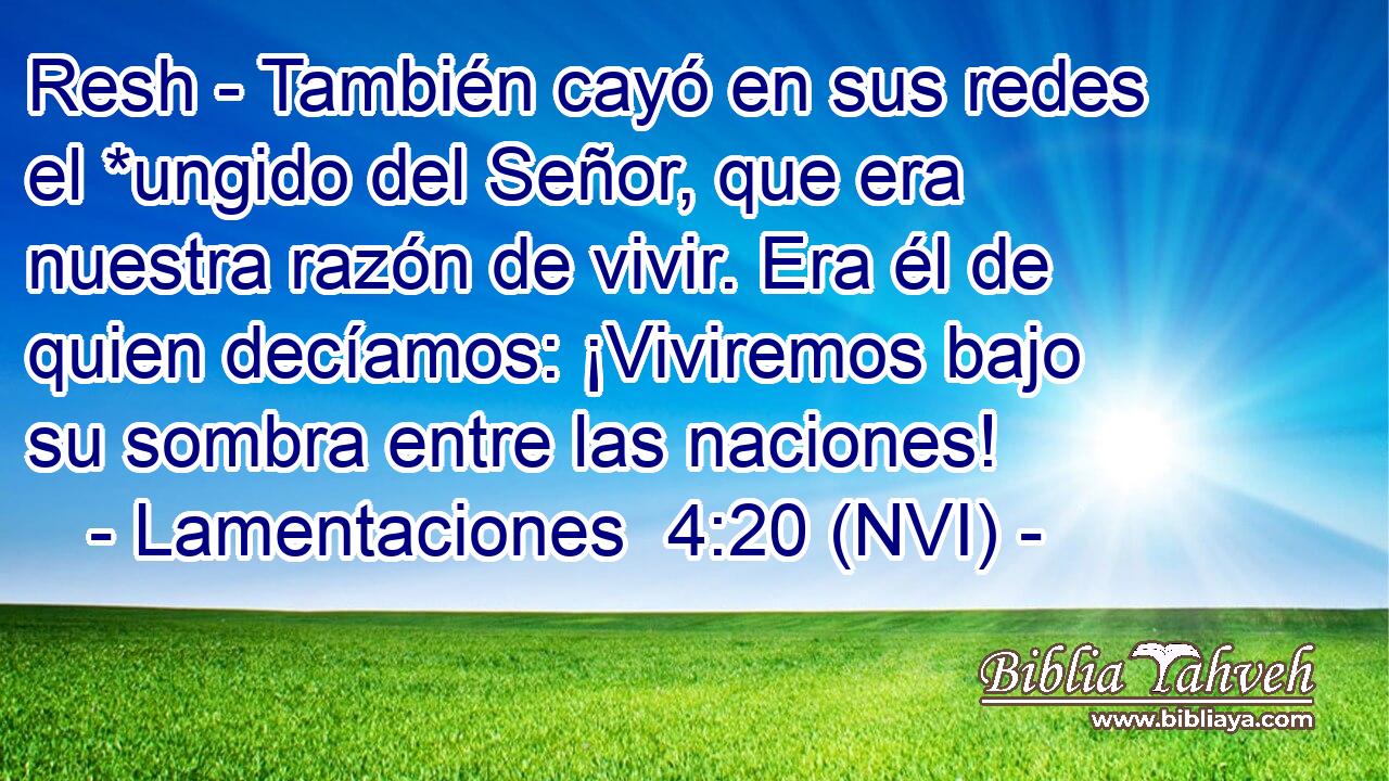  Resh - También cayó en sus redes el *ungido del Señor, que era nuestra razón de vivir. Era él de quien decíamos: ¡Viviremos bajo su sombra entre las naciones! 