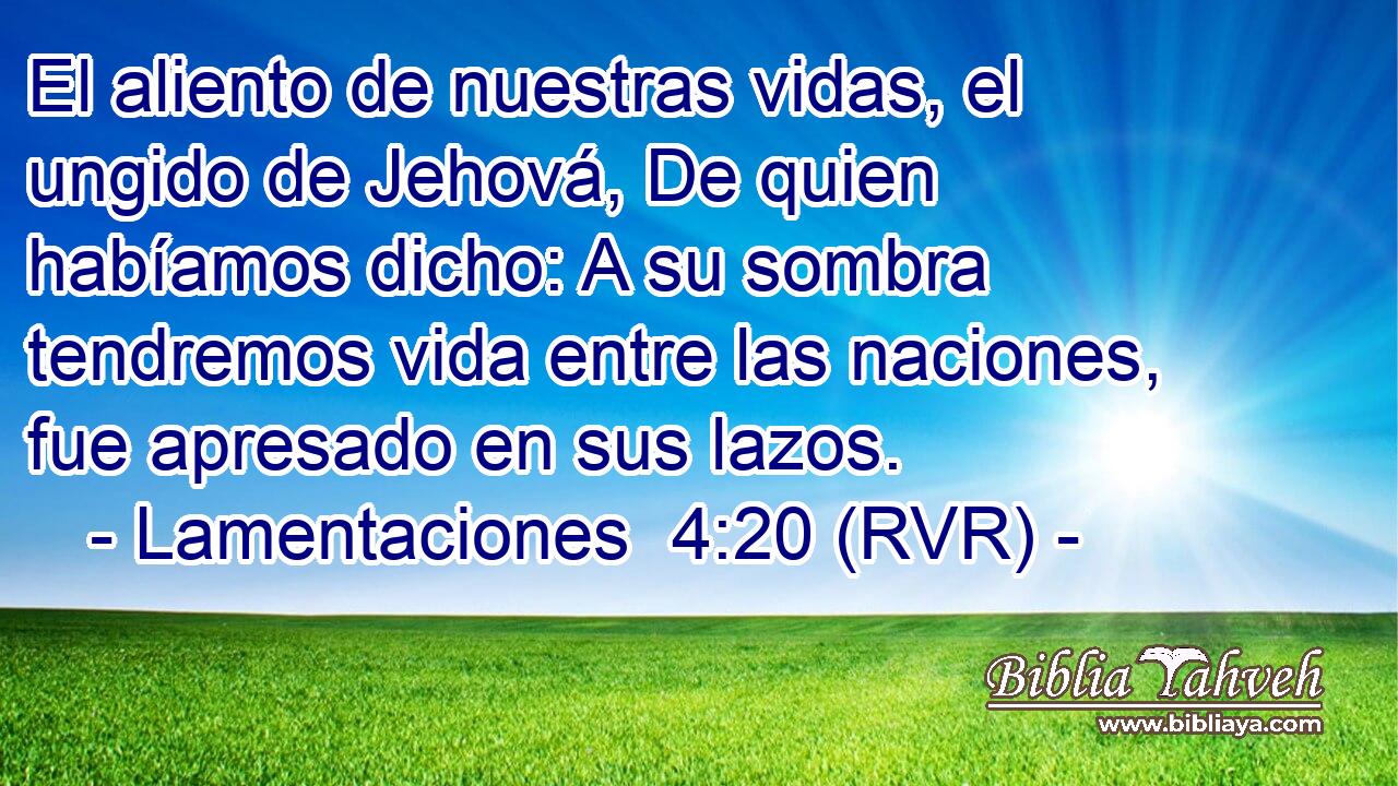 El aliento de nuestras vidas, el ungido de Jehová, De quien habíamos dicho: A su sombra tendremos vida entre las naciones, fue apresado en sus lazos.