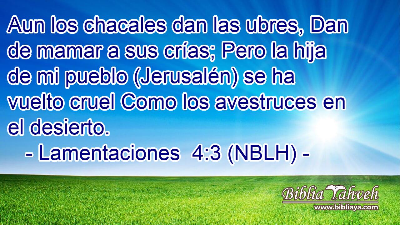 Aun los chacales dan las ubres, Dan de mamar a sus crías; Pero la hija de mi pueblo (Jerusalén) se ha vuelto cruel Como los avestruces en el desierto. 