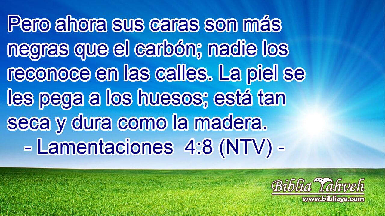 Pero ahora sus caras son más negras que el carbón; nadie los reconoce en las calles. La piel se les pega a los huesos; está tan seca y dura como la madera.