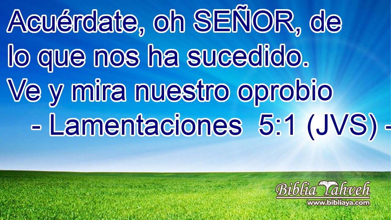 Acuérdate, oh SEÑOR, de lo que nos ha sucedido. Ve y mira nuestro oprobio
