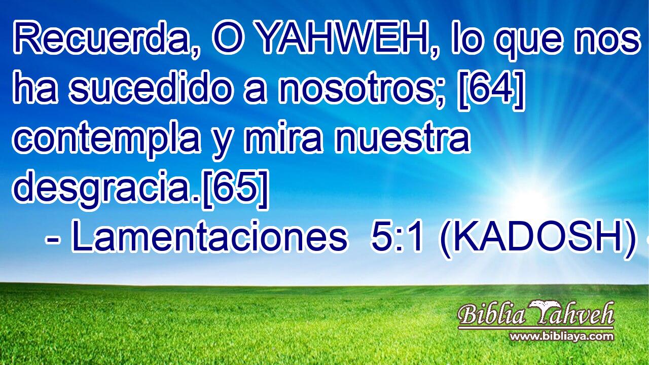  Recuerda, O YAHWEH, lo que nos ha sucedido a nosotros; [64] contempla y mira nuestra desgracia.[65] 