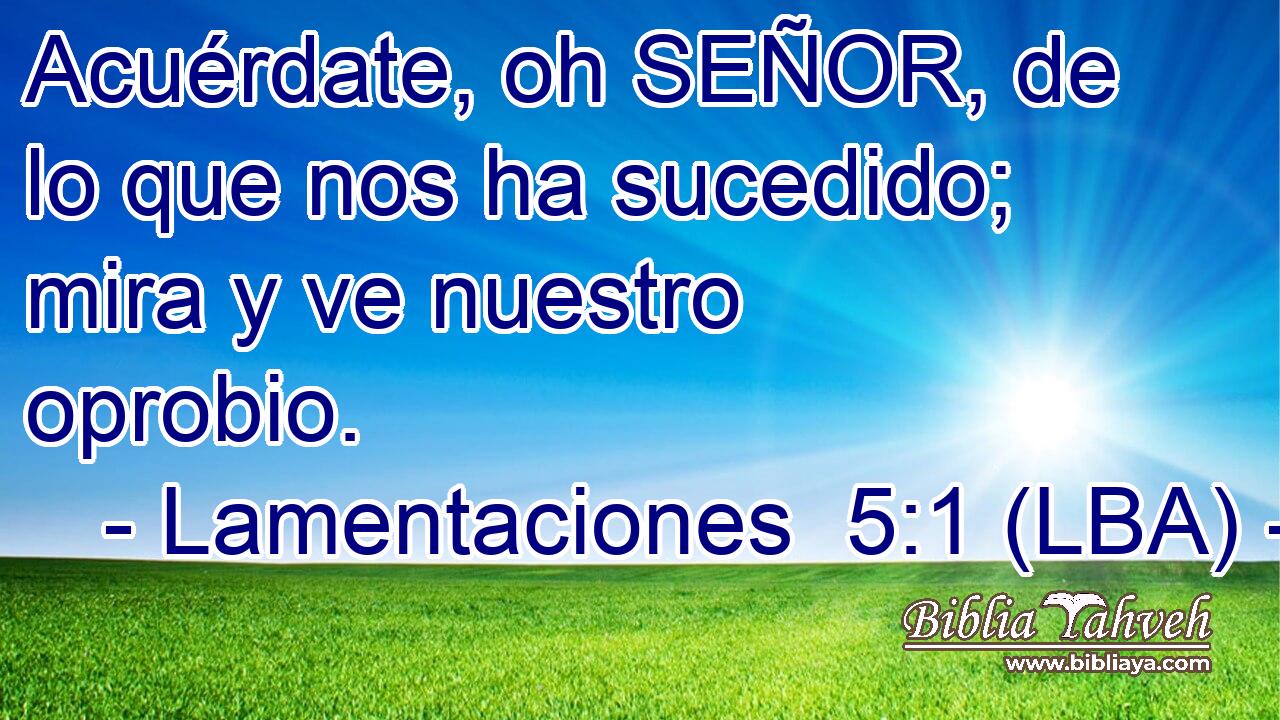 Acuérdate, oh SEÑOR, de lo que nos ha sucedido; mira y ve nuestro oprobio.