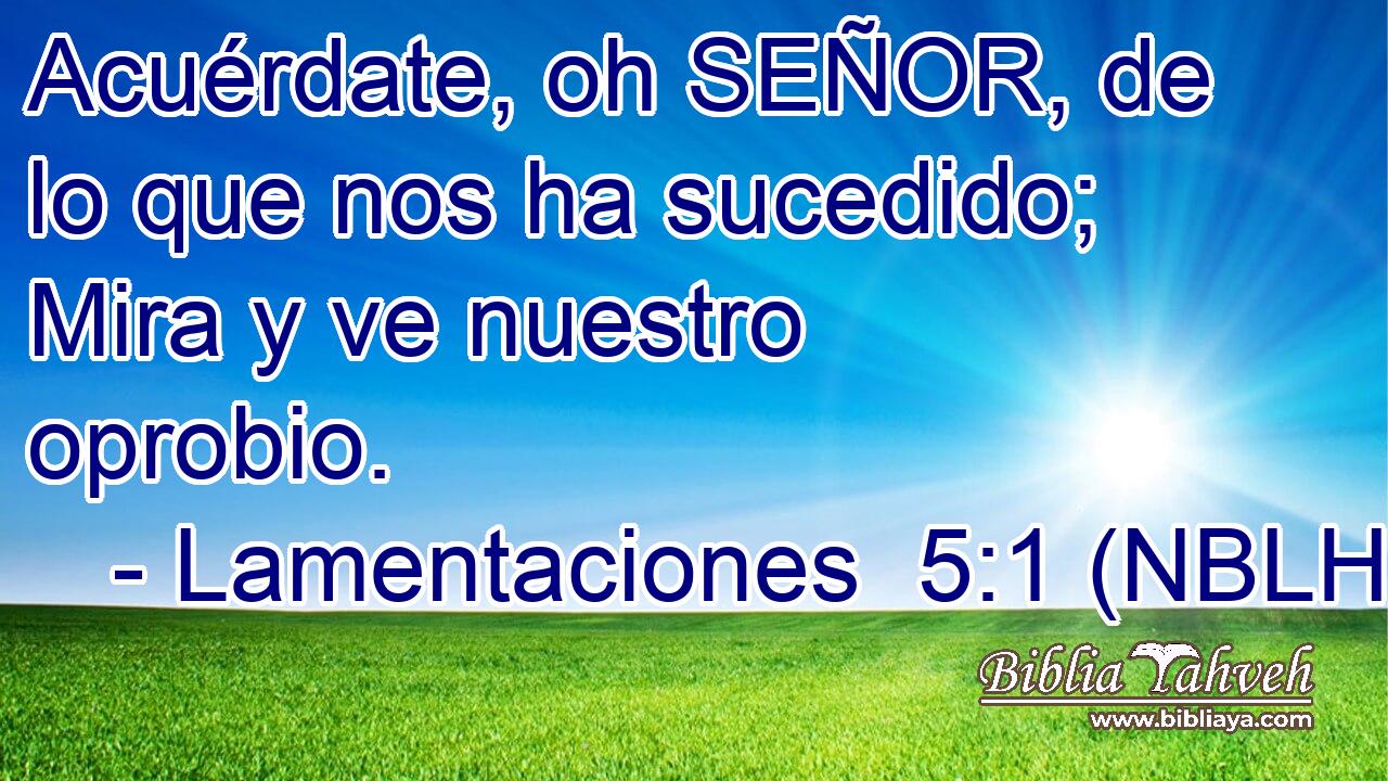  Acuérdate, oh SEÑOR, de lo que nos ha sucedido; Mira y ve nuestro oprobio. 