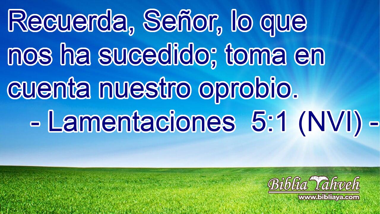  Recuerda, Señor, lo que nos ha sucedido; toma en cuenta nuestro oprobio. 