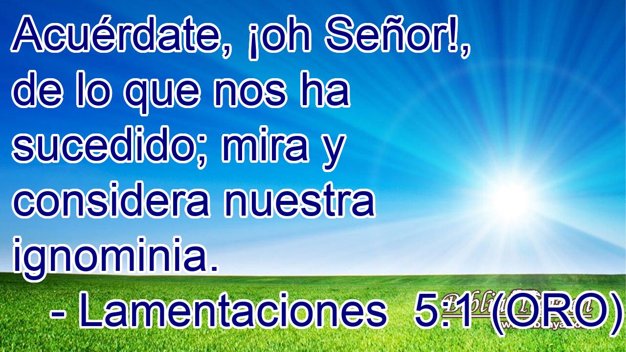  Acuérdate, ¡oh Señor!, de lo que nos ha sucedido; mira y considera nuestra ignominia. 