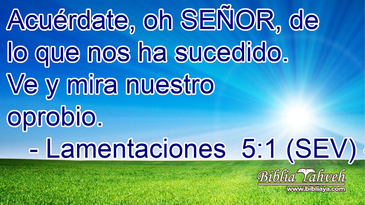 Acuérdate, oh SEÑOR, de lo que nos ha sucedido. Ve y mira nuestro oprobio.