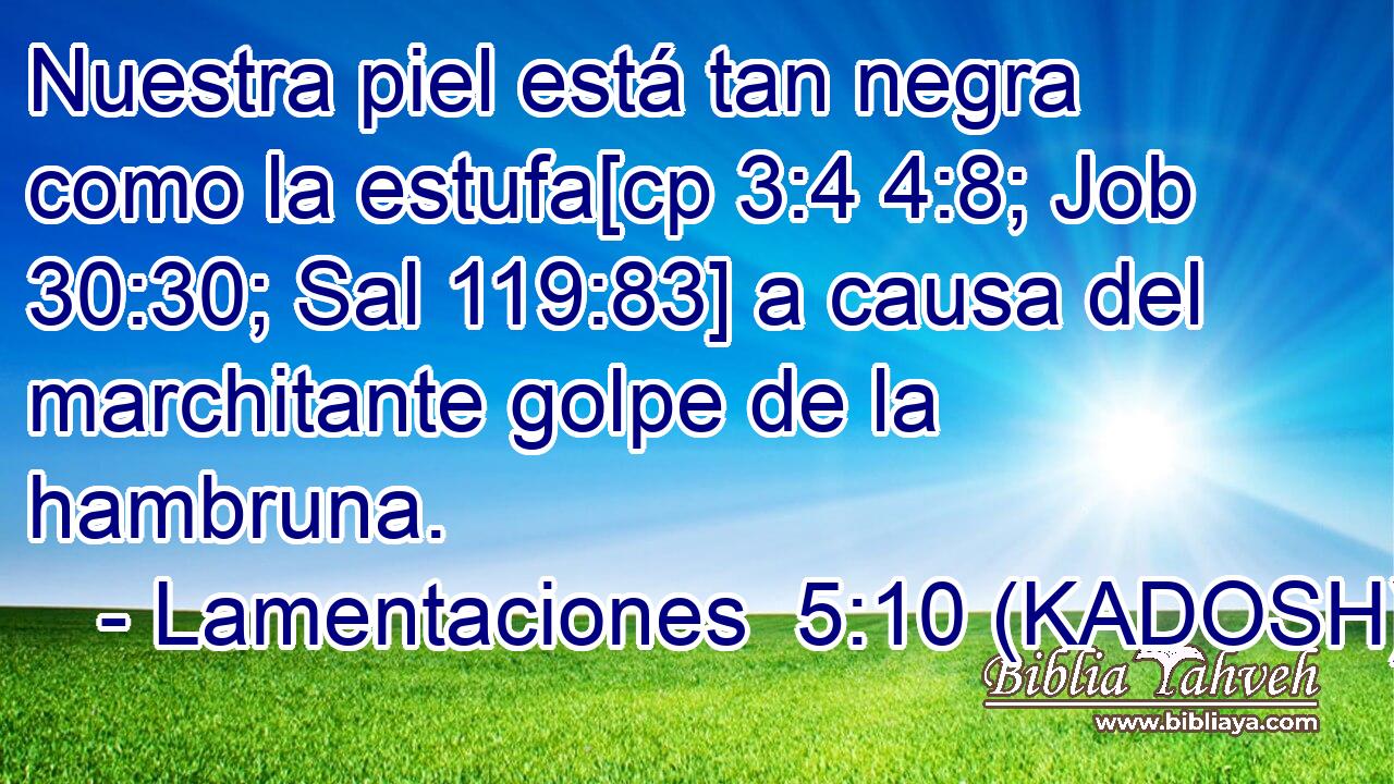  Nuestra piel está tan negra como la estufa[cp 3:4 4:8; Job 30:30; Sal 119:83] a causa del marchitante golpe de la hambruna. 