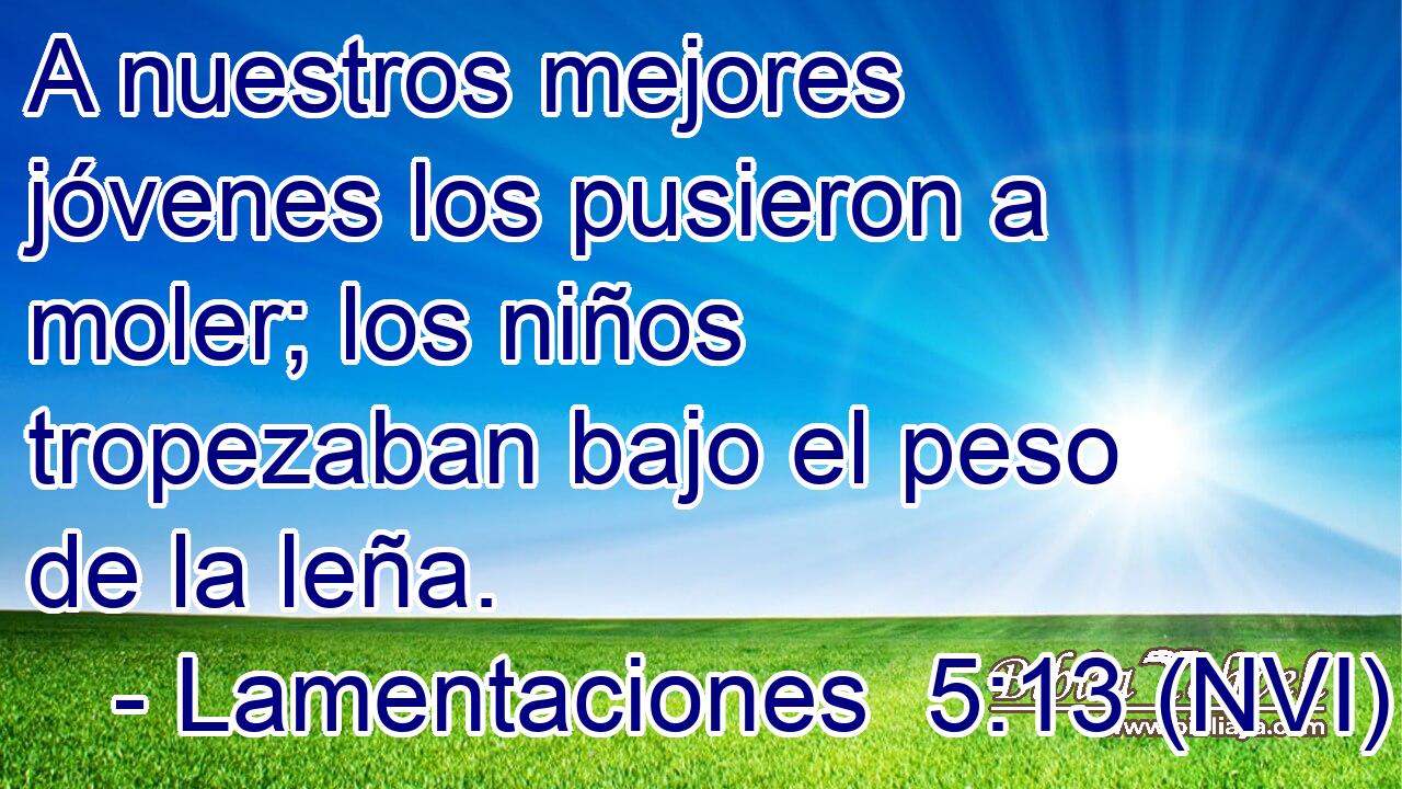  A nuestros mejores jóvenes los pusieron a moler; los niños tropezaban bajo el peso de la leña. 