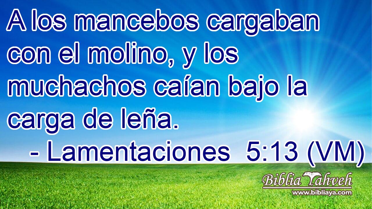  A los mancebos cargaban con el molino, y los muchachos caían bajo la carga de leña. 