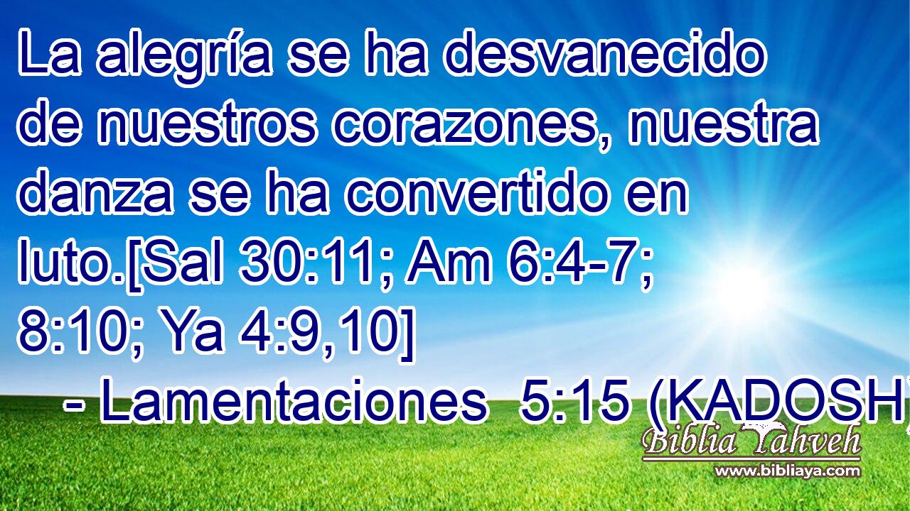  La alegría se ha desvanecido de nuestros corazones, nuestra danza se ha convertido en luto.[Sal 30:11; Am 6:4-7; 8:10; Ya 4:9,10] 