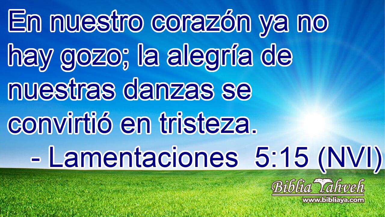  En nuestro corazón ya no hay gozo; la alegría de nuestras danzas se convirtió en tristeza. 