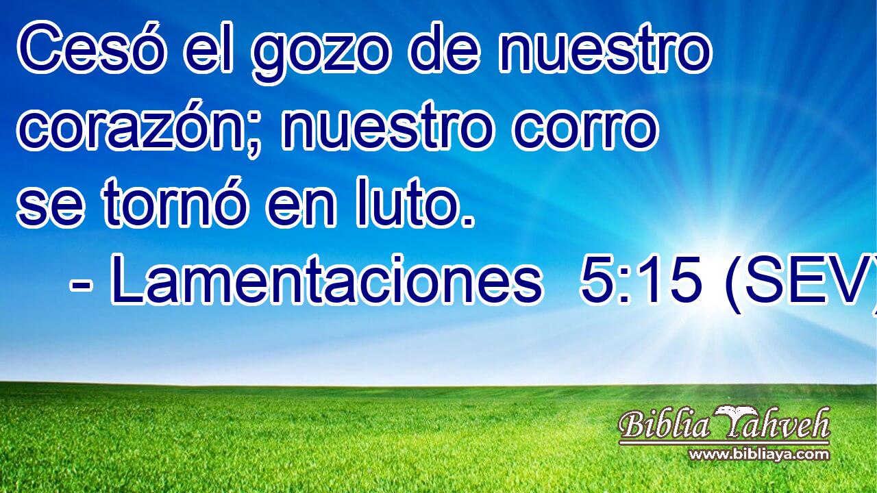 Cesó el gozo de nuestro corazón; nuestro corro se tornó en luto.